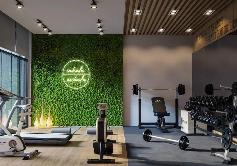 Sălile de sport și fitness au evoluat considerabil în ultimii ani, adaptându-se la noile cerințe și tendințe în materie de sănătate, wellness și design.